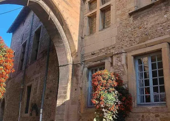 Grand Appartement En Maison De Ville